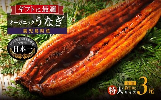 
泰正オーガニックうなぎ蒲焼 特大3尾| 国産 うなぎ 鰻
