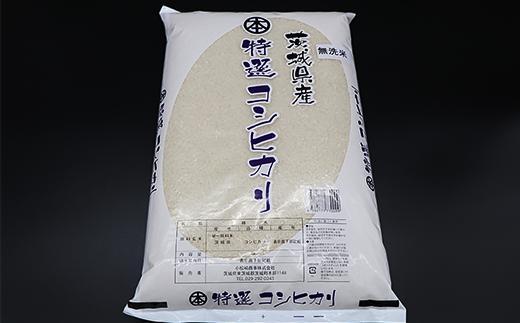 253【3ヶ月連続お届け】茨城県産こしひかり【無洗米】10kg（小松崎商事）