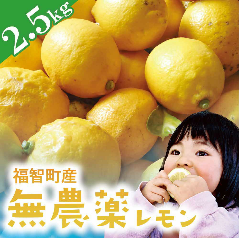 【ふるさと納税】＜旬の12月以降発送＞ 福智町産 無農薬レモン 2.5kg 約16〜20個 国産 安心 数量限定 期間限定 皮まで食べられる 無農薬 れもん レモン 旬 産地 新鮮 おすすめ レモネード 皮 キロ 福岡産 福智産 福智 ワンドラファーム 送料無料