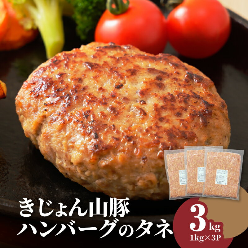 【ふるさと納税】【レビューキャンペーン対象】きじょん山豚 ハンバーグのタネ 3kg - 半調理済み食品 アレンジ ハンバーグ/餃子/ロールキャベツ ポークハンバーグ 豚肉 みやざきサンミート季穣 ブランド豚 送料無料【宮崎県木城町】