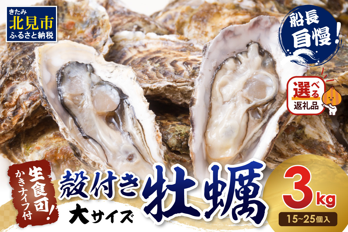 
            【予約】サロマ湖自慢の殻付きカキ貝 大 3kg詰め ( 牡蠣 かき 濃厚 大きい 魚介類 貝類 殻付 殻付き牡蠣 BBQ バーベキュー )【114-0010-2025】
          