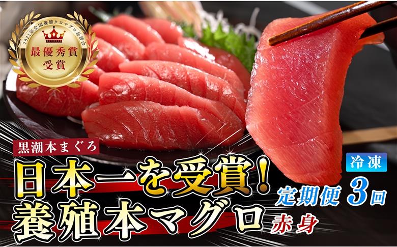 訳あり 不定貫 まぐろ マグロ 本鮪 黒潮本まぐろ 赤身 定期便 3回 120g × 3回 刺身 さしみ 最優秀賞 全国養殖クロマグロ品評会 受賞 魚 魚介類 海鮮 柵 サク 冷凍 お取り寄せ 産地直