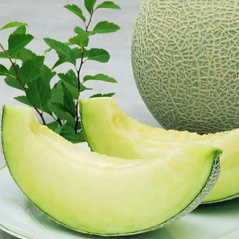 令和8年産 アールスメロン 2玉セット 秀品 Lサイズ （計3.5kg） 山形県産 【2026年9月中旬頃から10月下旬頃発送予定】　015-B-JA020