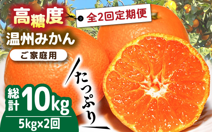 
                  みかん【2026年12月〜発送】【大満足！ 2回 定期便 】温州みかん 約5kg / みかん 定期便 ミカン 蜜柑 長崎県産みかん 糖度 果物 くだもの 果物定期便 フルーツ ふるーつ フルーツ定期便 旬 家庭用 5kg みかん 蜜柑 柑橘 ミカン フルーツ 果物 くだもの 産地直送 国産 mikan 先行予約 みかん定期便 / 南島原市 / 南島原果物屋 [SCV017]
                