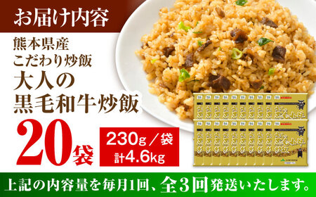 【全3回定期便】熊本県産 こだわり炒飯 大人の黒毛和牛 炒飯 230g×20袋 合計4.6kg【ユーユーフーズ株式会社】[BHCS021]