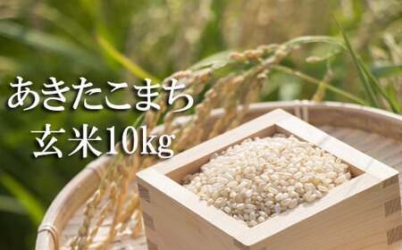【令和7年産】 あきたこまち 玄米 10kg ／ かきのうえ こめ 米 コメ お米 おこめ ご飯 ごはん げんまい おにぎり お弁当 仕送り お取り寄せ 産地直送 単一原料米 国産 国産米 東北 岩手県産 八幡平市産 おすすめ