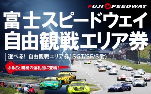 富士スピードウェイ 自由観戦エリア券 選べる！自由観戦エリア券（SGT/SF/S耐）│ 利用券 利用チケット 体験チケット モータースポーツ カーレース サーキット 体験 静岡県 小山町