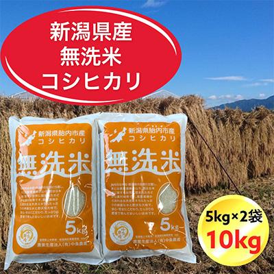 ふるさと納税 胎内市 令和7年産　新潟県胎内市産コシヒカリ無洗米10kg(5kg×2袋)