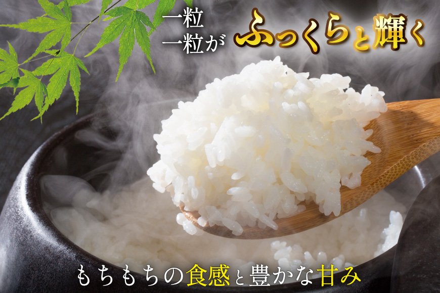 3回 定期便 米 宮城県産 とまたんのひとめぼれ 10kg (5kg×2袋) 総計30kg [サンフレッシュ小泉農園 宮城県 気仙沼市 20566086] ひとめぼれ ブランド米 白米 精米 ご飯 ごはん コメ こめ お米 小分け 家庭用