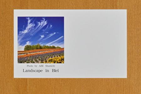 [005-26]写真家　阿部俊一　名刺台紙・メッセージカード100枚(D)