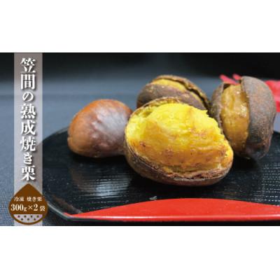 ふるさと納税 笠間市 笠間の熟成焼き栗【冷凍】300g×2パック