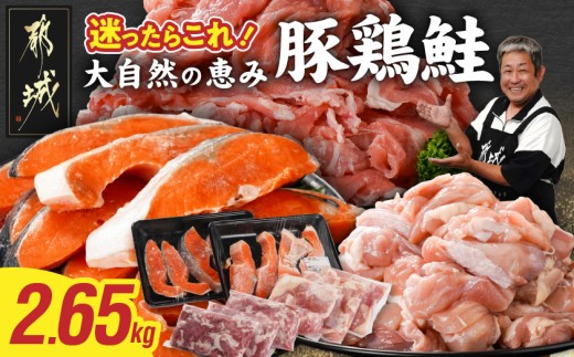 ≪肉×魚≫小分け3種セット(豚切り落とし250g×3P・鶏モモカット済300g×3P・銀鮭500g×2P)〔84-017-8〕_(都城市) 小分けパック 冷凍 お弁当 おかず