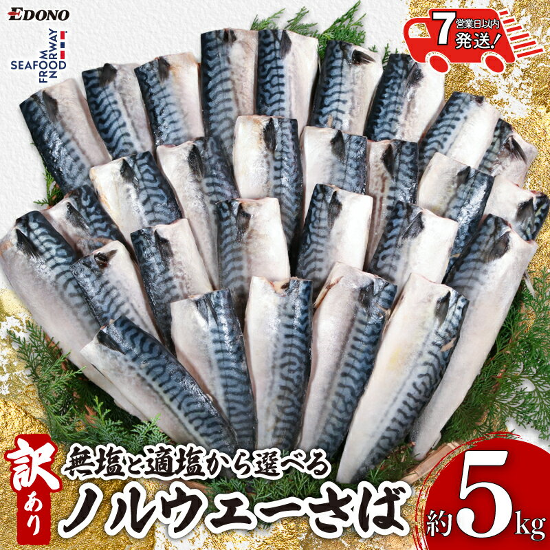 【ふるさと納税】 訳あり ノルウェーさば 5kg 【選べる味付け】 無塩 適塩 【 スピード配送 】 さば 鯖 さばフィーレ 鯖フィーレ さばフィレ 鯖フィレ 規格外 切り身 切身 無添加 添加物不使用 小分け 個別冷凍 お弁当 惣菜 おかず 送料無料 千葉県 銚子市 エドノフーズ