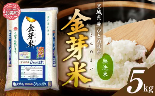 【5kg】 令和6年 無洗米 金芽米 宮城県産 ひとめぼれ 5kg 米 小分け 便利 時短 栄養 健康 低糖質 低カロリー 糖質オフ 環境 ｜ 宮城県 加美町 km00017-r6-5kg