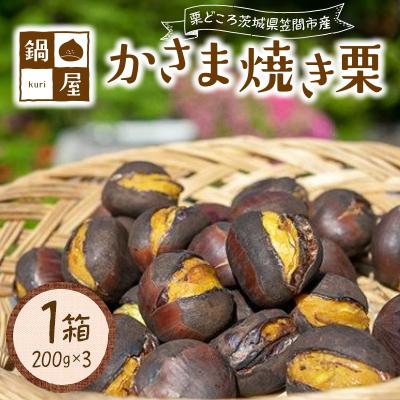 ふるさと納税 笠間市 かさま焼き栗(200g×3)1箱