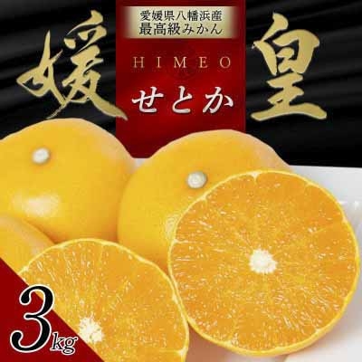 
                  【先行受付】 最高級みかん 媛皇 せとか 3kg 愛媛県 八幡浜市 西宇和地区 柑橘の女王＜D25-308＞【1713683】 YWTAP249
                
