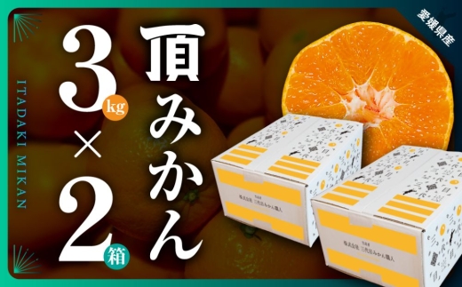 三代目がつくる＜頂みかん＞3kg×2箱＜D31-21＞_ みかん ミカン 柑橘 フルーツ 果物 くだもの 青果 産地直送 産直 3kg セット 2箱 【1503338】 YWTAC011