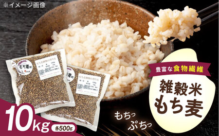 内子町産もち麦10kg BKAD017 もち麦