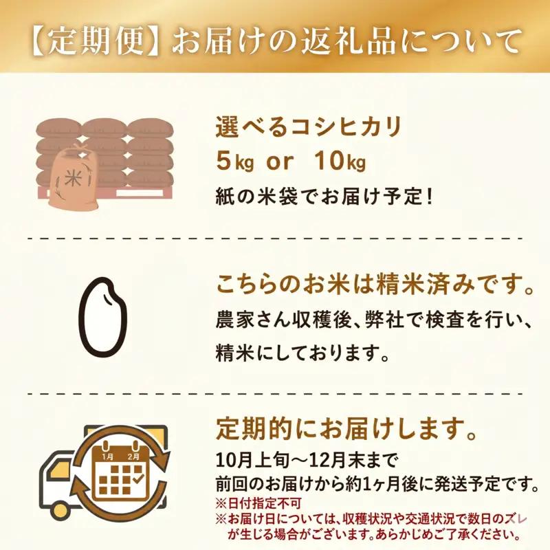 【事前受付 国産 コシヒカリ】定期便3ヶ月 令和8年度産 お米 10kg  タタラ商店 静岡県 牧之原市