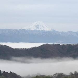 【2026年先行受付】牧丘天空ブランド山梨オリジナル品種サンシャインレッド【配送不可地域：離島】【1691205】