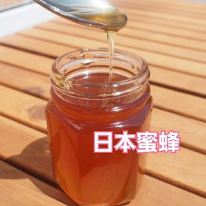 ＼感謝を込めて／ 2年間熟成！ 希少な日本ミツバチ完熟蜂蜜 150g×4個 セット 【 数量限定 はちみつ 蜂蜜 完熟 百花蜜 無添加 岩手 陸前高田 】