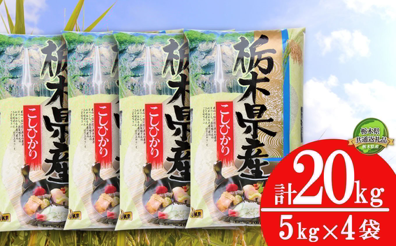 
            【数量限定】令和6年米 栃木県産こしひかり 10kg（5kg×2袋）| コシヒカリ 白米 精米 お米 米 ブランド米 栃木県共通返礼品 栃木県 下野市 送料無料
          