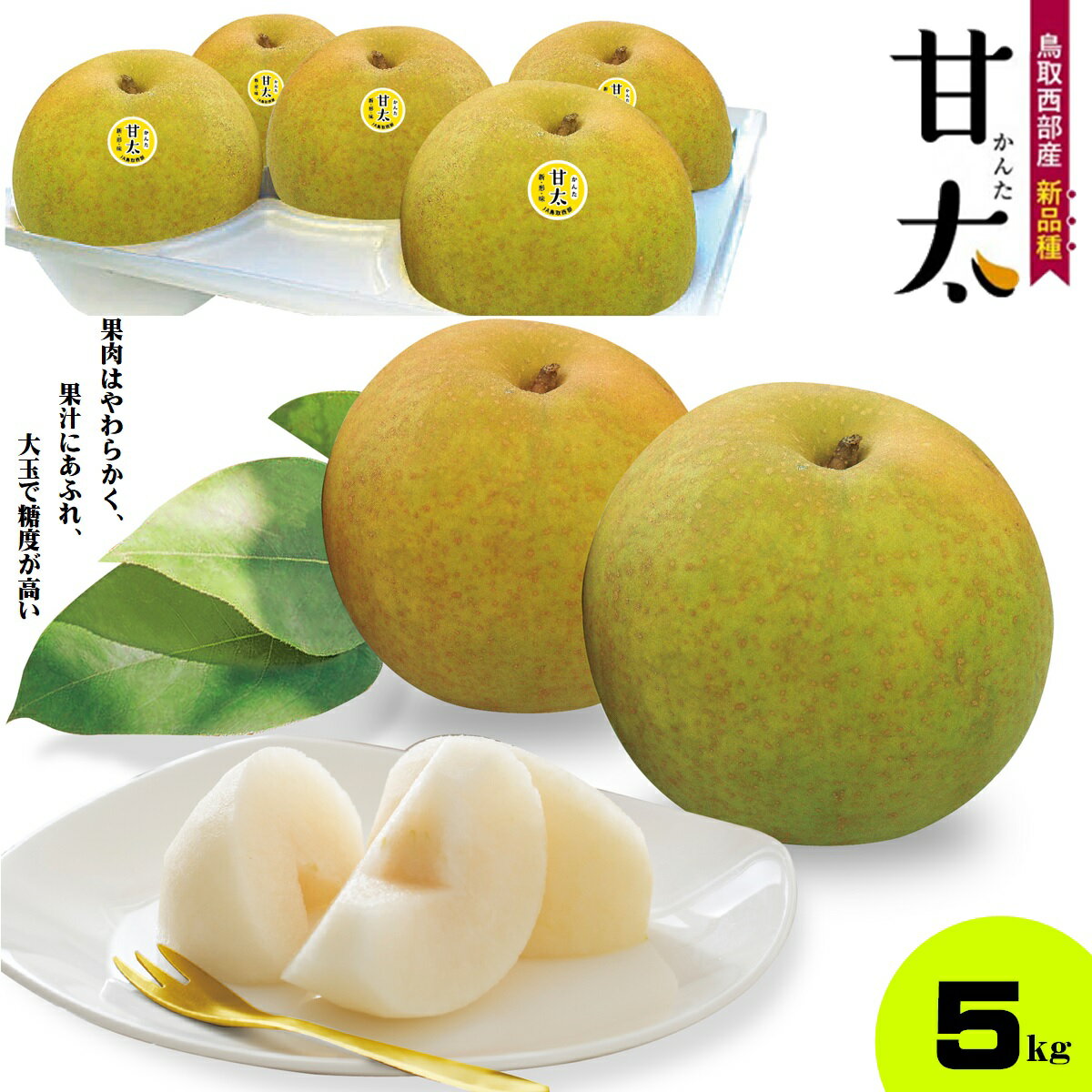 【ふるさと納税】先行受付 梨 甘太 かんた 梨 5kg 9月下旬〜10月上旬お届け【25-014-011】【鳥取西部農業協同組合 米子・あいみ果実部】ナシ 果物 フルーツ なし 鳥取県産 くだもの 赤梨 5キロ 先行受付 お取り寄せ 数量限定 鳥取県 米子市 送料無料
