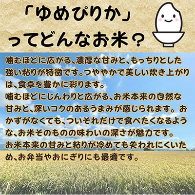【令和8年産・先行予約】北海道深川産ゆめぴりか10kg(5kg×2袋)(普通精米) 新米 お米