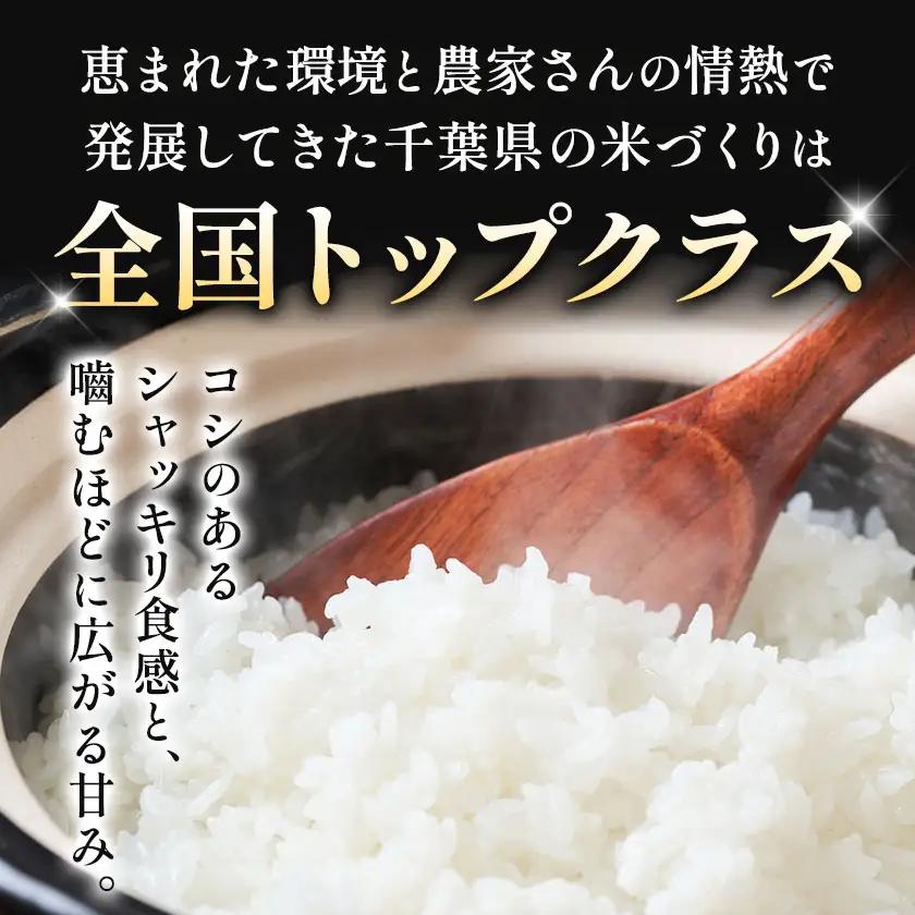 米 精米 千葉めぐみ米 20kg 千葉県産