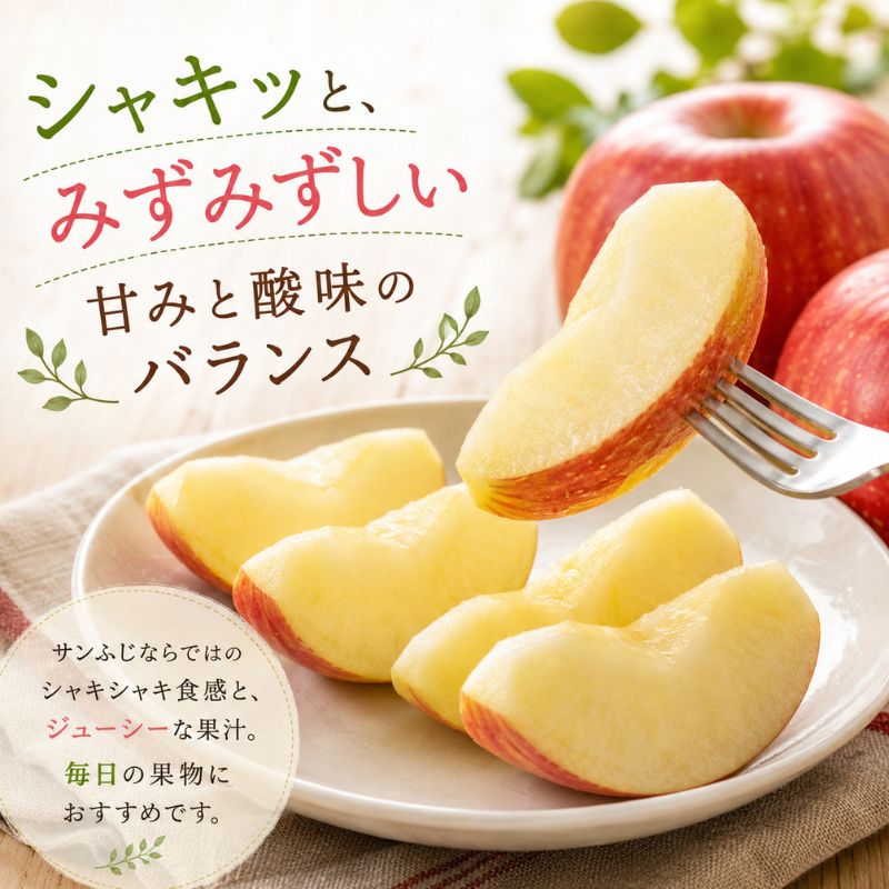 【先行予約】令和8年産 訳あり サンふじ りんご 9kg (玉数おまかせ) 家庭用 長野産 信州 産地直送 フルーツ 果物 リンゴ さんふじ 林檎