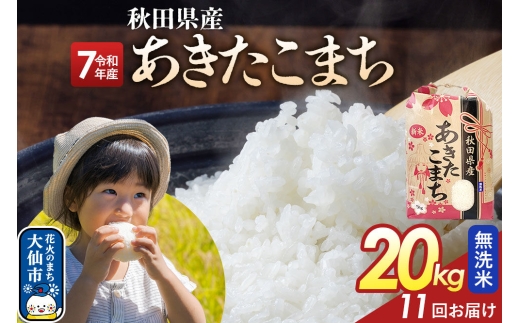 《定期便11ヶ月》【無洗米】あきたこまち 20kg（5kg×4） 秋田県産 令和7年産  こまちライン 秋田県 大仙市産 [秋田 お米 米どころ あきたこまち こまちライン]