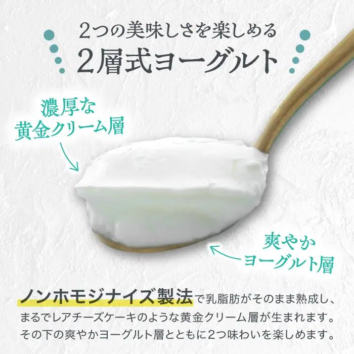 【ふるなびWEEK対象】くまもと半熟よーぐるちょ 350g×5個 オオヤブデイリーファーム ヨーグルト 濃厚ヨーグルト AYAE004