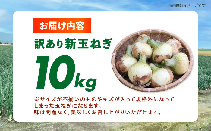 訳あり 新玉ねぎ 10kg  【あかるい農園 ミッチ―】 不揃い たまねぎ [HDF001]