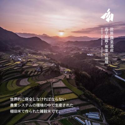 ふるさと納税 高千穂町 藤の花色に染まる六穀米「藤六穀(ふじろっこく)」 高千穂棚田米 たかきび 挽き割とうもろこし |  | 03