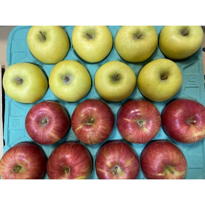 
                  シナノスイート、シナノゴールド詰合せ 約5kg【1551867】
                