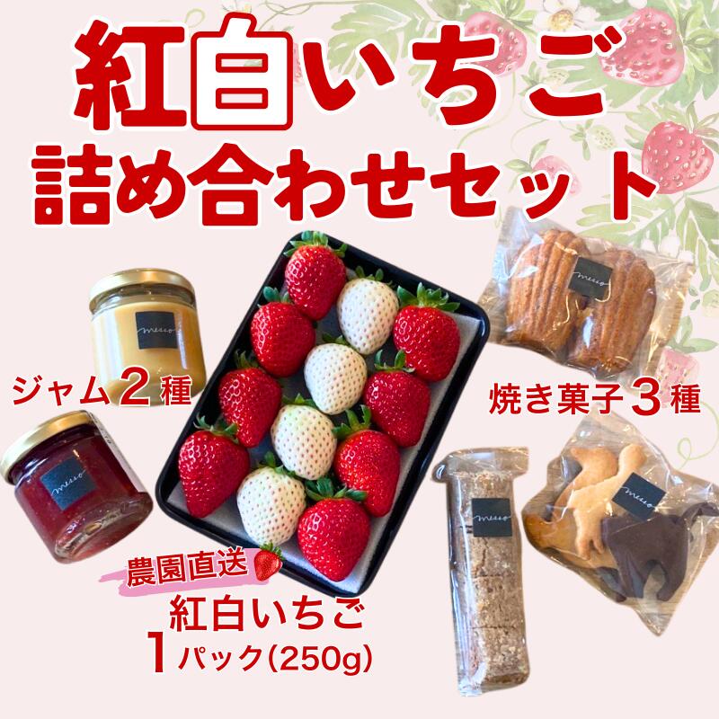 【ふるさと納税】イチゴジャム 無添加 紅白いちご くぼなか農園 ミルクジャム おまかせ焼き菓子 ギフト 数量限定 農園直送 愛媛 人気 伊予市｜B208
