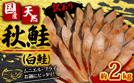 訳あり 国産 秋鮭 (白鮭) 切身 約2kg 冷凍 秋鮭 秋鮭 秋鮭 秋鮭 秋鮭