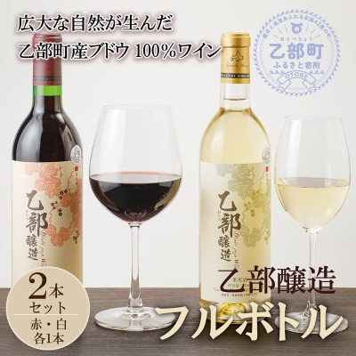 【乙部醸造ワイン　赤・白2本セット】北海道産　各720ml×1