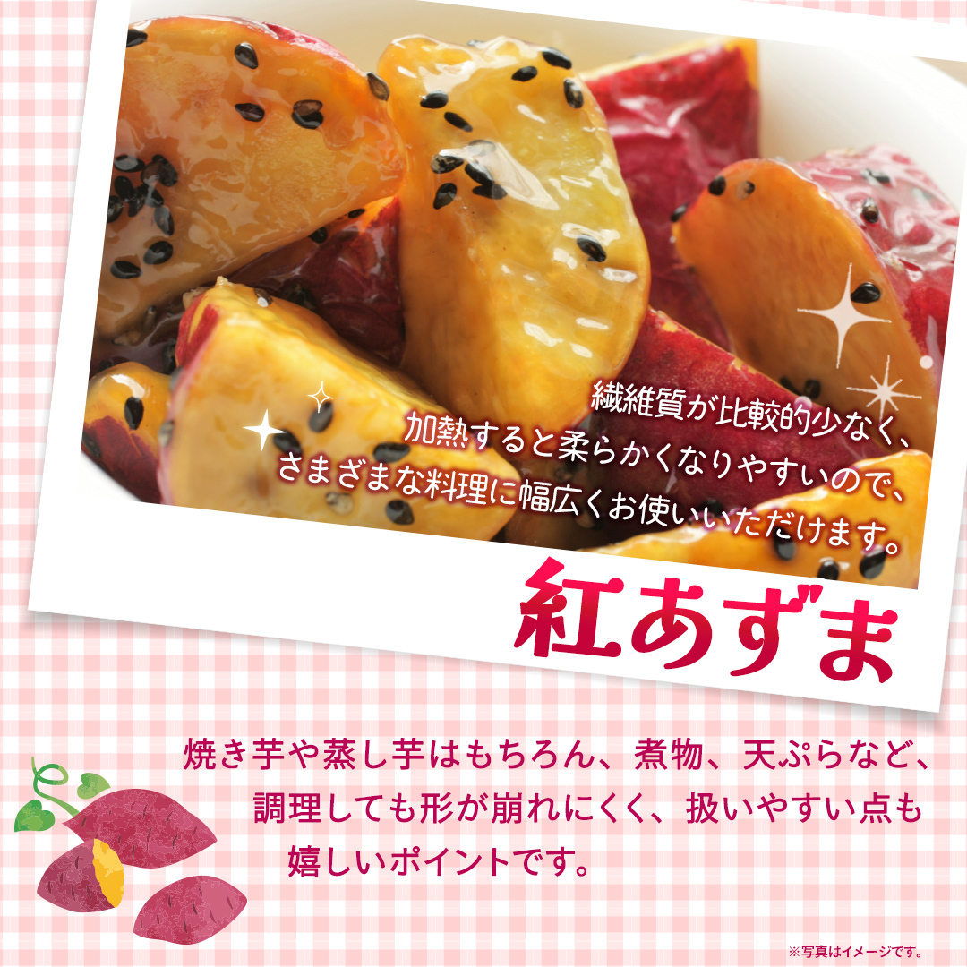 紅あずま 約2.5kg （6回 定期便 ）（茨城県共通返礼品 [さつまいも]：行方市産） 6か月定期便 定期便 さつまいも サツマイモ べにあずま 芋 いも 野菜 根菜  茨城県産 お取り寄せ 野菜 