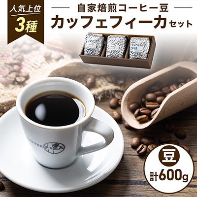 ふるさと納税 尼崎市 【KAFFEE FIKA】カッフェフィーカコーヒー豆セット 200g×3パック〈豆のまま〉