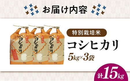 【先行予約/令和7年産新米】【特別栽培米】コシヒカリ 15kg [AQCQ014]