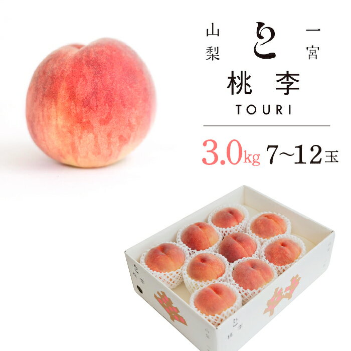 【ふるさと納税】【2026年発送★先行予約】山梨一宮産　朝採り新鮮桃　3.0kg (7〜12玉）★ ふるさと納税 人気 おすすめ ランキング もも 桃 笛吹市 国産 人気 期間限定 果物 フルーツ 旬 山梨県 送料無料 122-011-26y