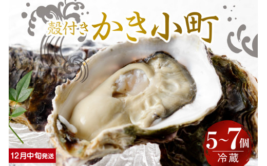 【2025年12月中旬発送】宮原水産 かき小町 殻付き 5～7個 ku005-006-12-2-25