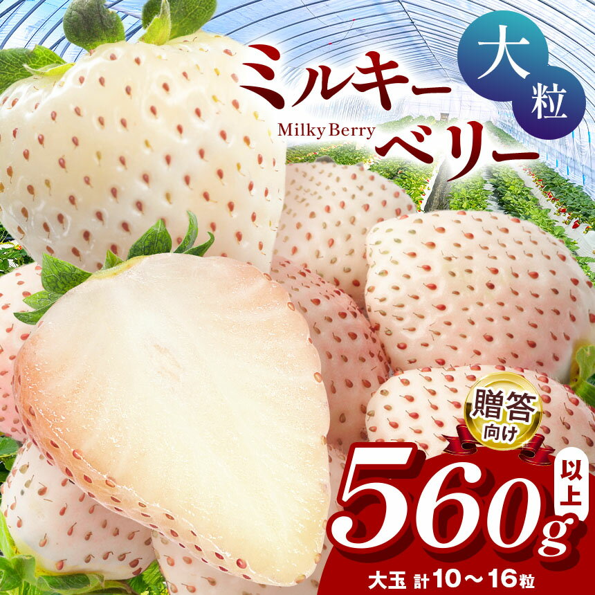 【ふるさと納税】 ミルキーベリー 数量限定 | 限定 希少 レア プレミアム 贈答品 プレゼント 新鮮 完熟 いちご 旬 スカイベリー 苺 ストロベリー 高級 産地直送 果汁 甘い あまい 人気 高評価 有機肥料 日本一 生産 生産量 産地 王国 栃木県 真岡市 送料無料