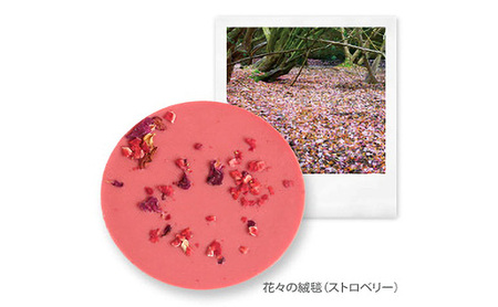 チョコレート 風景のディスク（箱入り6枚セット） チョコ お菓子 洋菓子 自然美 凝縮 芸術的スイーツ 風景 樹皮イメージ 刻印 美しい 味わい深い 五感で楽しむ DRYADES 文京区 東京都