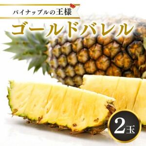 【2025年5月以降順次発送・ハウス栽培】パイナップルの王様 ゴールドバレル2玉【配送不可地域：離島】【1608233】