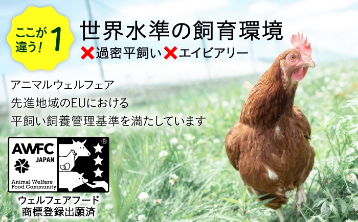 たまご 卵 鶏卵 玉子 生卵 平飼い 北海道 定期便