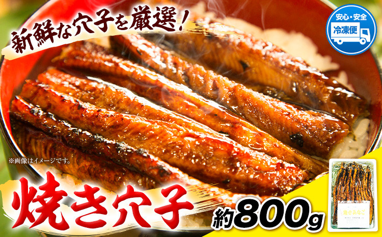 
            焼き穴子 約800g 笠岡魚市場《45日以内に出荷予定(土日祝除く)》岡山県 笠岡市 穴子 海鮮 魚 お魚
          