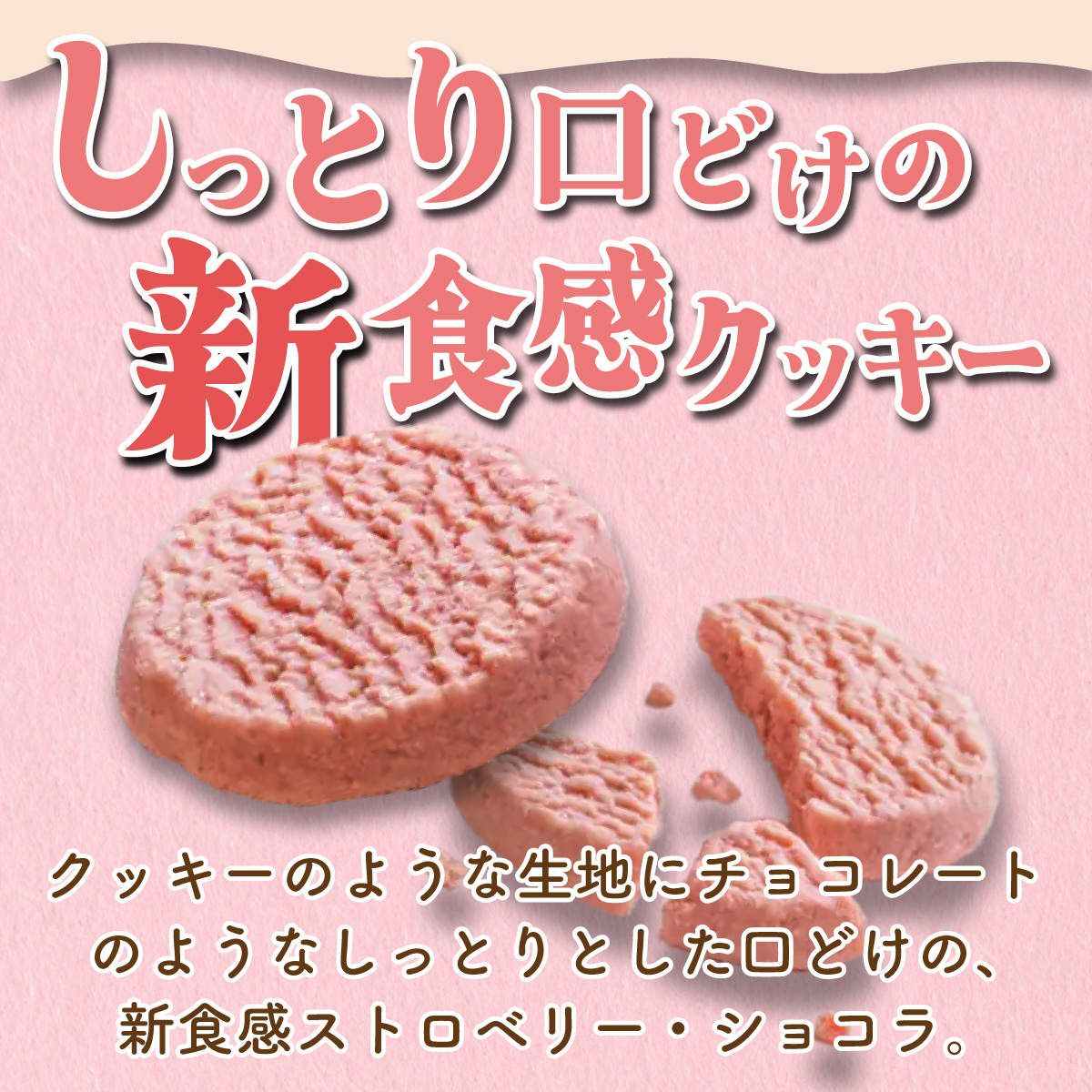 北海道産 ストロベリー ショコラ クッキー 40個 森のおくりもの 菓子 焼菓子 クッキー 苺 ストロベリー すずあかね お菓子 おやつ スイーツ デザート 規格外 常温 送料無料_イメージ2