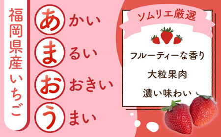 【全2回定期便】福岡産【春】 あまおう 6パック 吉富町/南国フルーツ株式会社[BGAG052]